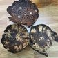 Coconut Shell Soap Holder